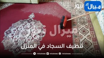 تنظيف السجاد في المنزل دون غسله