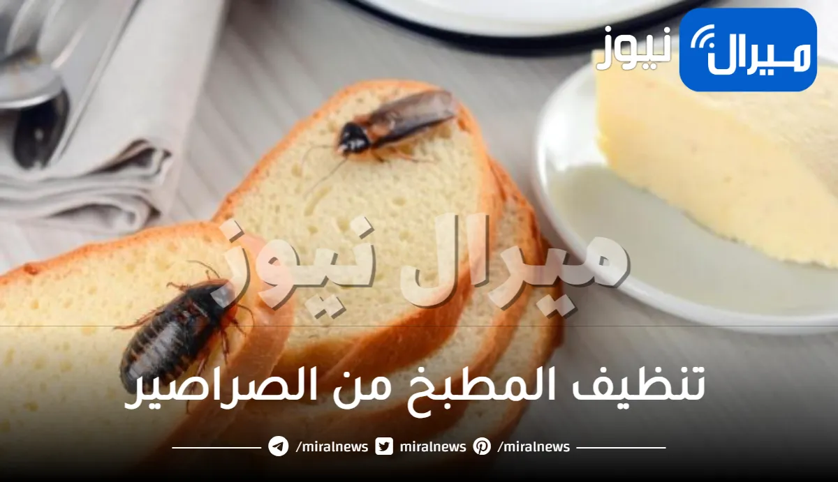 تنظيف المطبخ من الصراصير