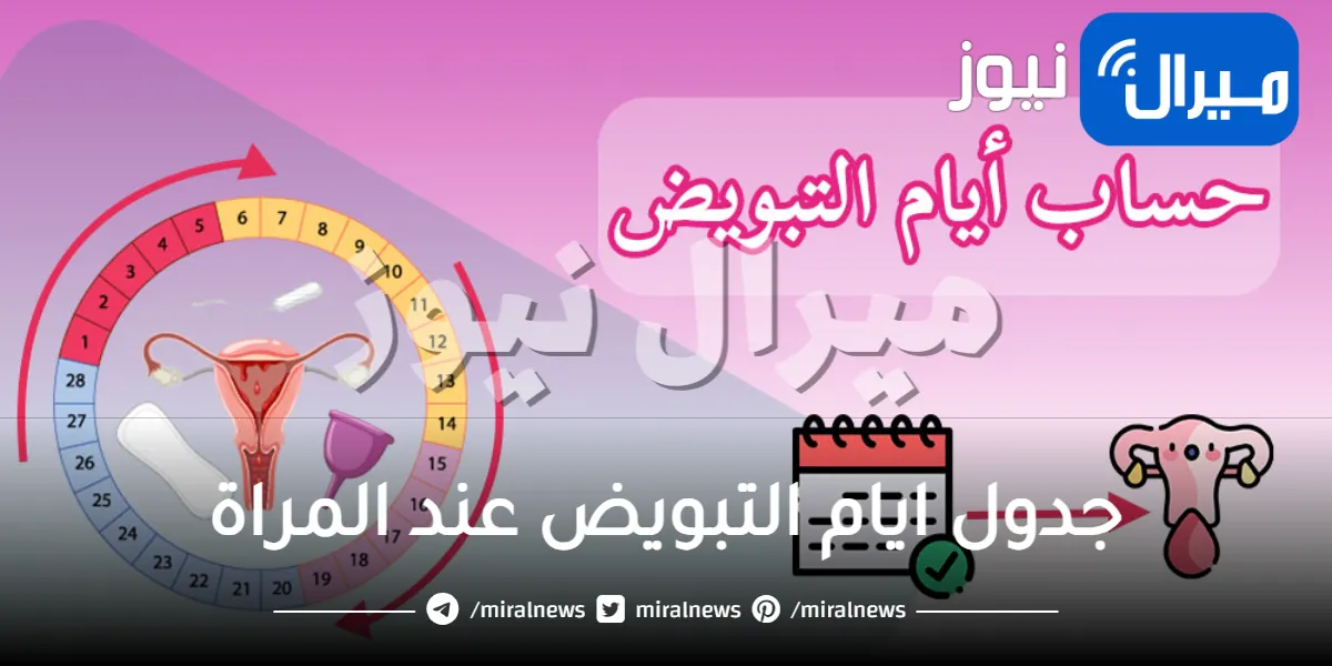 جدول ايام التبويض عند المراة .. تعرفي على أبرز طرق حسابه