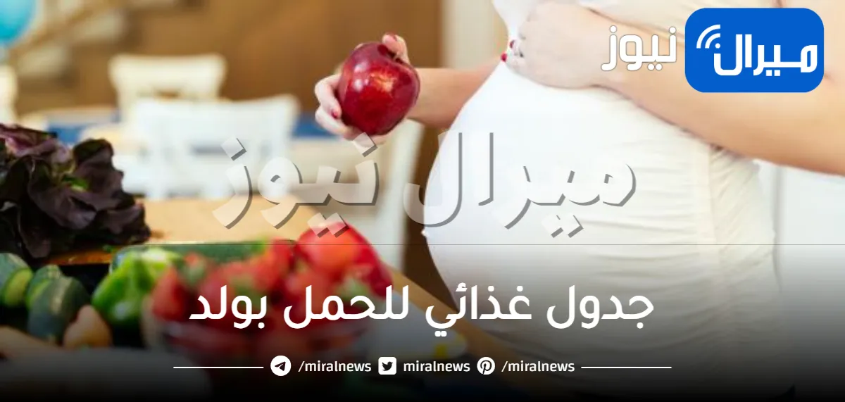 جدول غذائي للحمل بولد .. تعرفي على أفضل الأطعمة لإنجاب البنين