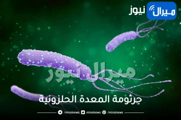 جرثومة المعدة الحلزونية .. ماهي جرثومة المعدة الحلزونية وطرق علاجها