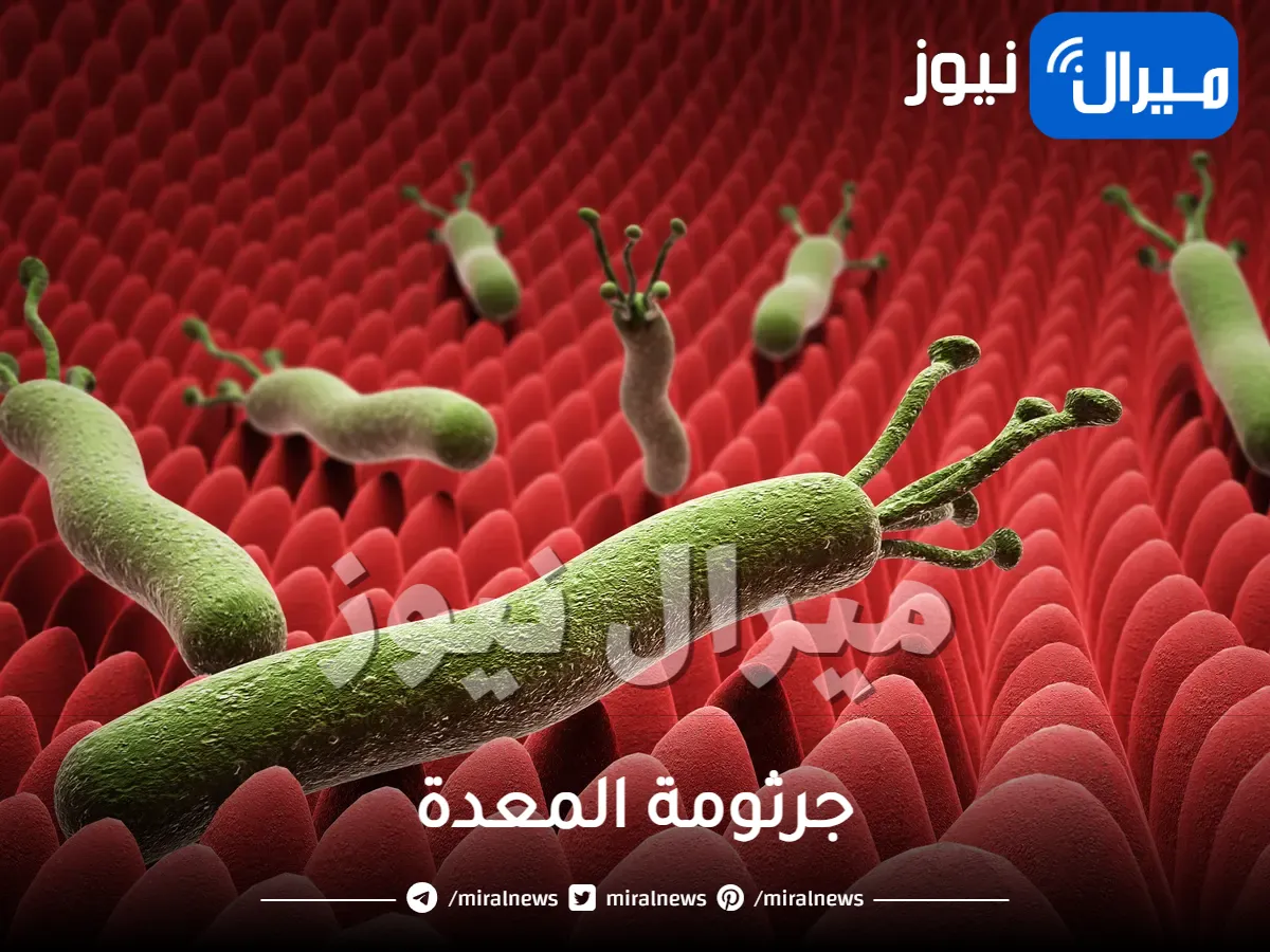 جرثومة المعدة .. أسباب الإصابة بجرثومة المعدة وطرق الوقاية منها