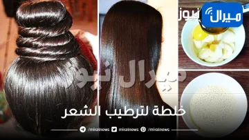 خلطة لترطيب الشعر في المنزل بمكونات طبيعية ونتيجة رائعة