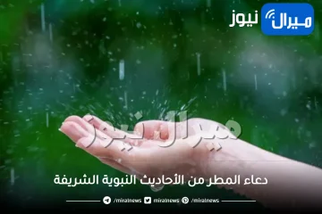 ردد دعاء الرعد والبرق وسقوط المطر من السنة النبوية الشريفة.. ما يُقال عند سماع الرعد “سبحان الذي يسبِّح الرعد بحمده والملائكة من خيفته”