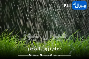 دعاء نزول المطر و دعاء سماع صوت الرعد من السنة