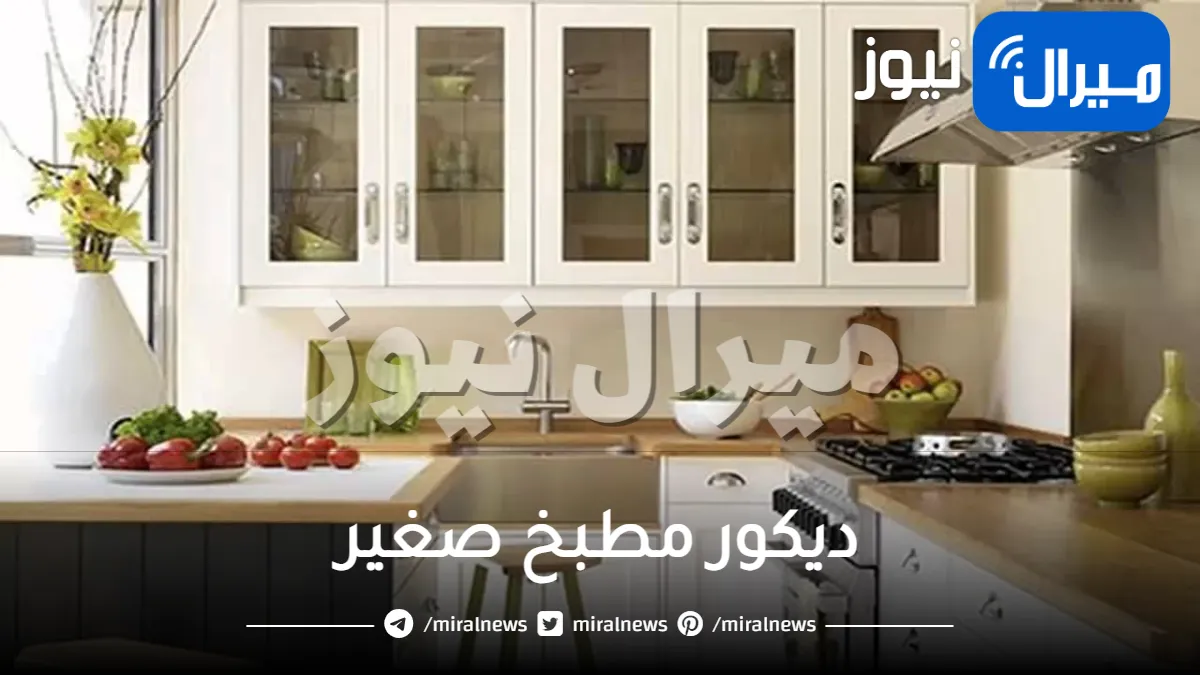 ديكور مطبخ صغير .. تعرفي على طرق ترتيبه والحفاظ على نظافته