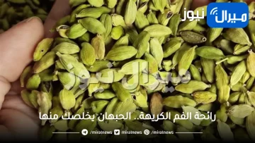 رائحة الفم الكريهة.. الحبهان يخلصك منها