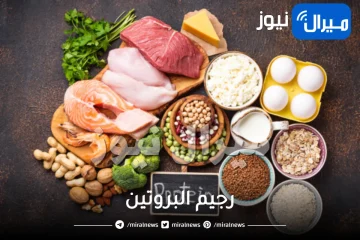 تعرفي على رجيم البروتين في رمضان