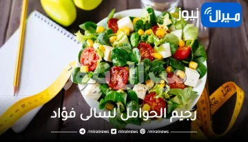رجيم الحوامل لسالى فؤاد لتنحيف الوزن أثناء الحمل بالتفصيل