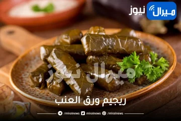 ريجيم ورق العنب .. اخسري 3 كيلو أسبوعيا مع رجيم محشي ورق العنب