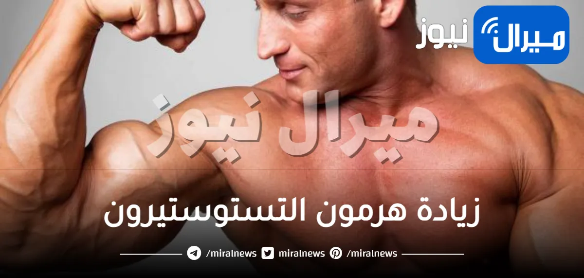 أفضل 10 وصفات لزيادة هرمون التستوستيرون بالأعشاب لتضخيم العضلات
