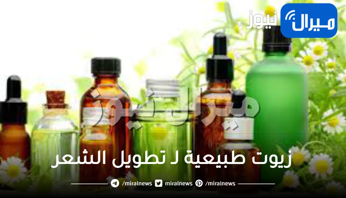 5 زيوت طبيعية لـ تطويل الشعر في أسبوع