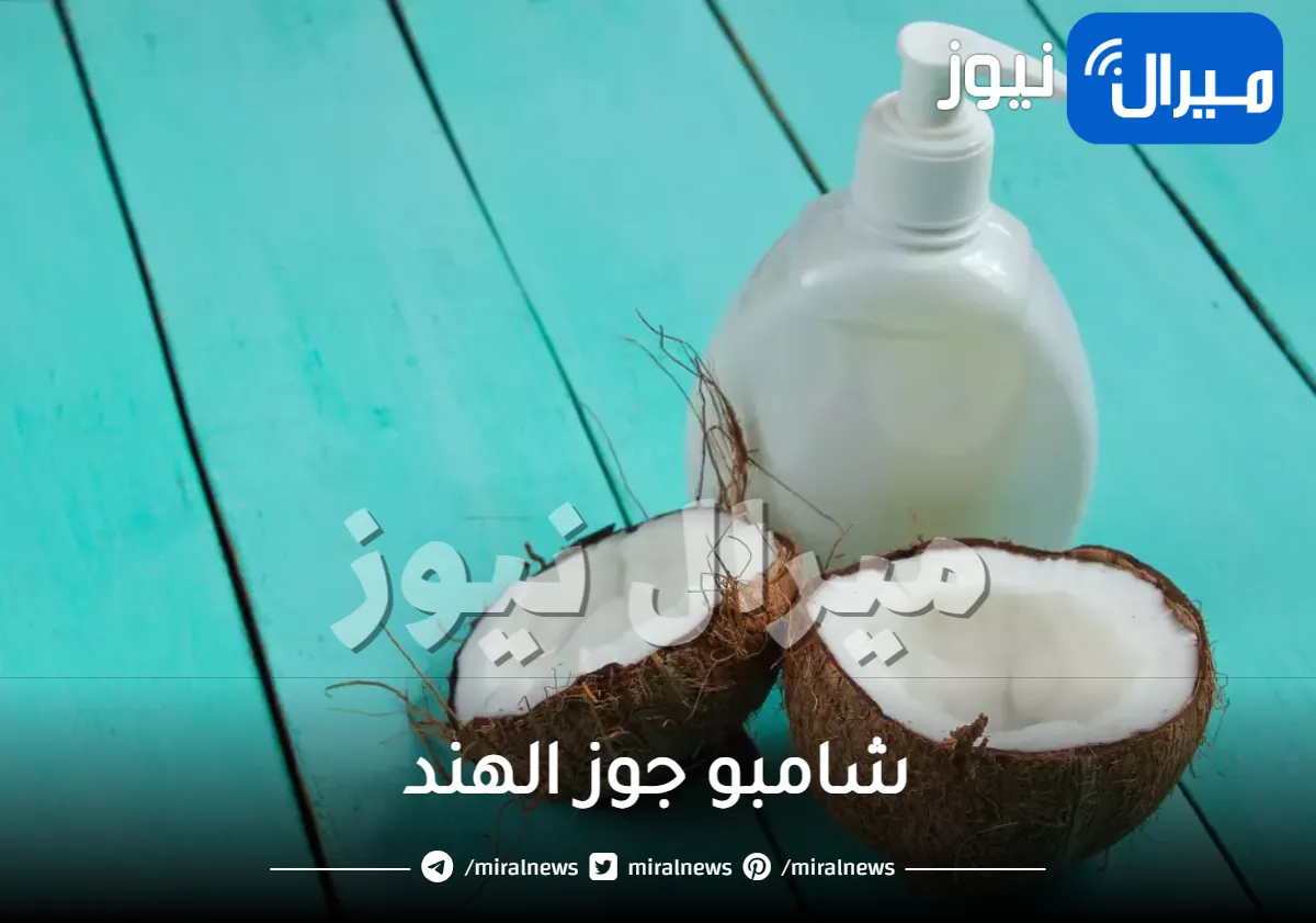 شامبو جوز الهند .. تعرفي على أشهر الانواع