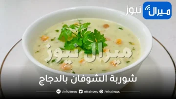 “من ألذ الشوربات” مقادير وطريقة عمل شوربة الشوفان بالدجاج للرجيم