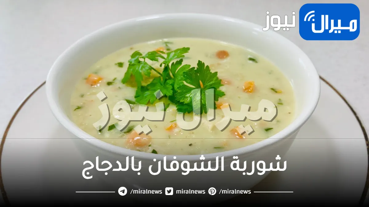 من ألذ الشوربات مقادير وطريقة عمل شوربة الشوفان بالدجاج للرجيم