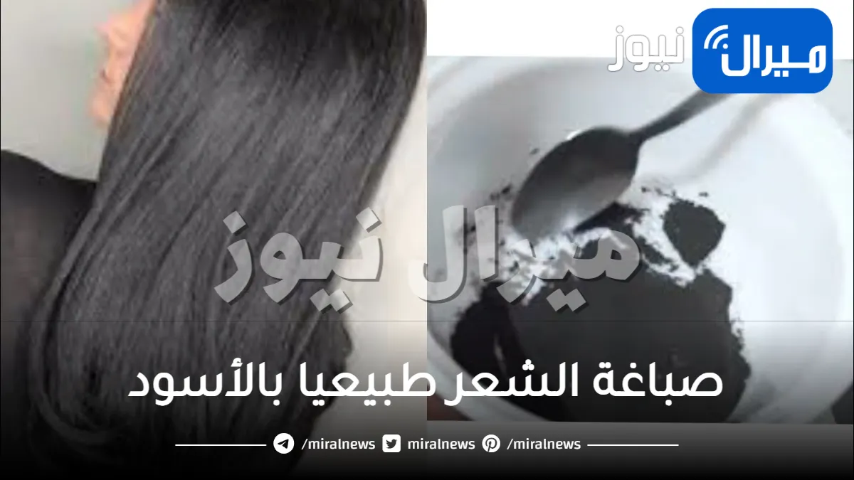 صباغة الشعر طبيعيا بالأسود .. أفضل وصفات لصبغ الشعر بالأسود