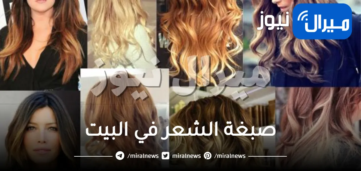 صبغة الشعر في البيت خطوة بخطوة بطريقة سهلة وبسيطة