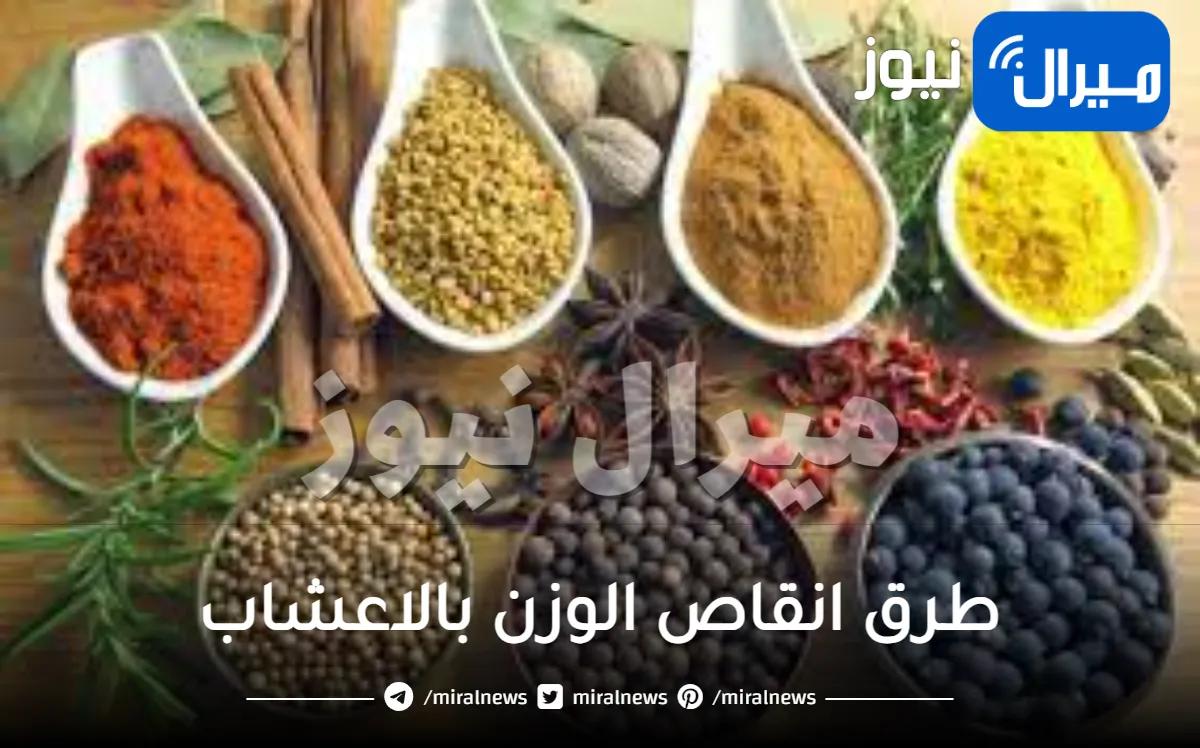 إنقاص الوزن .. طرق انقاص الوزن بالاعشاب