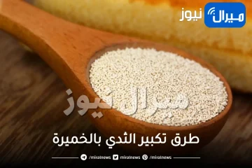 طرق تكبير الثدي بالخميرة بخطوات بسيطة فقط في منزلك