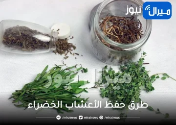 تعرفي على طرق حفظ الأعشاب الخضراء في المنزل