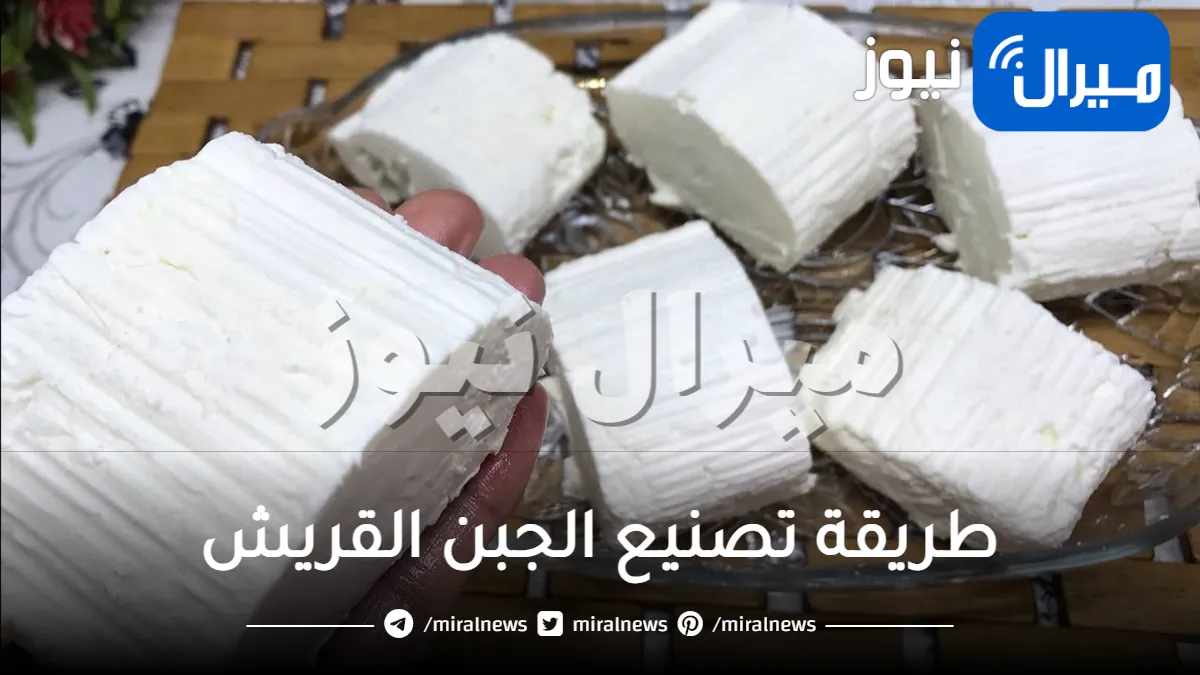 طريقة تصنيع الجبن القريش في المنزل بسهولة ويسر ووصفات متعددة باستخدامها