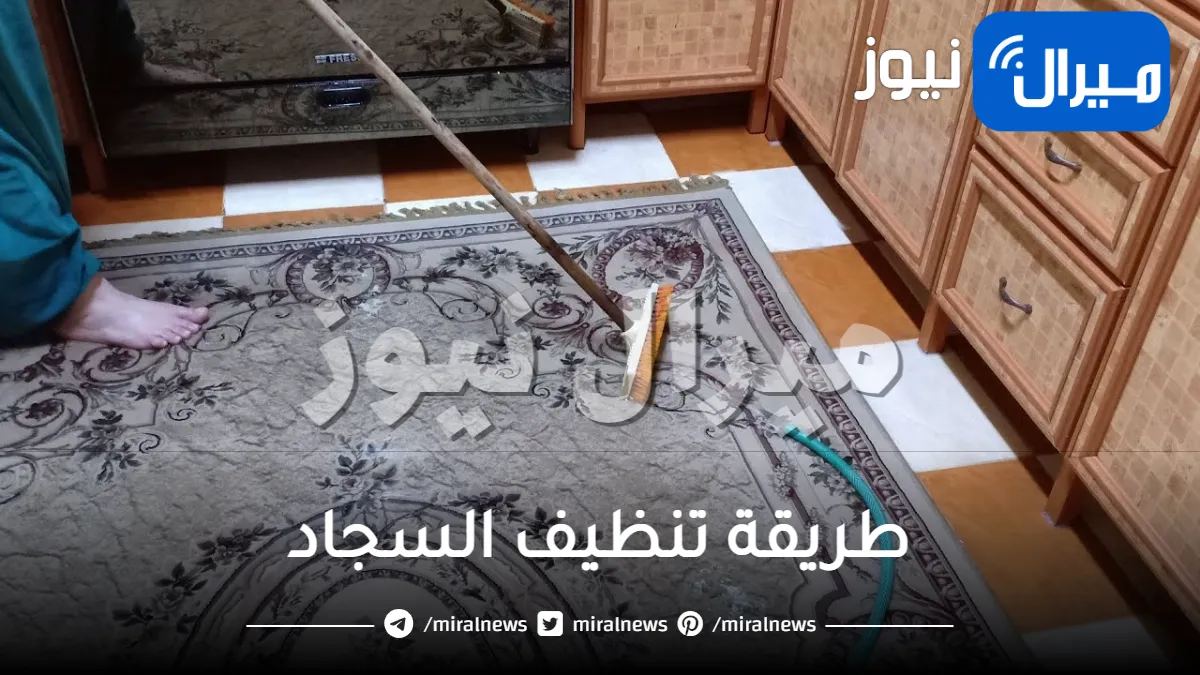 طريقة تنظيف السجاد بالخل..بأقل تكاليف وبدون مجهود