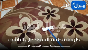 طريقة تنظيف السجاد على الناشف