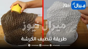 أسهل وأسرع طريقة لتنظيف الكرشة في العيد! بالحامض فقط وبدون مواد كيماوية نضيفها في أقل من 10 دقائق