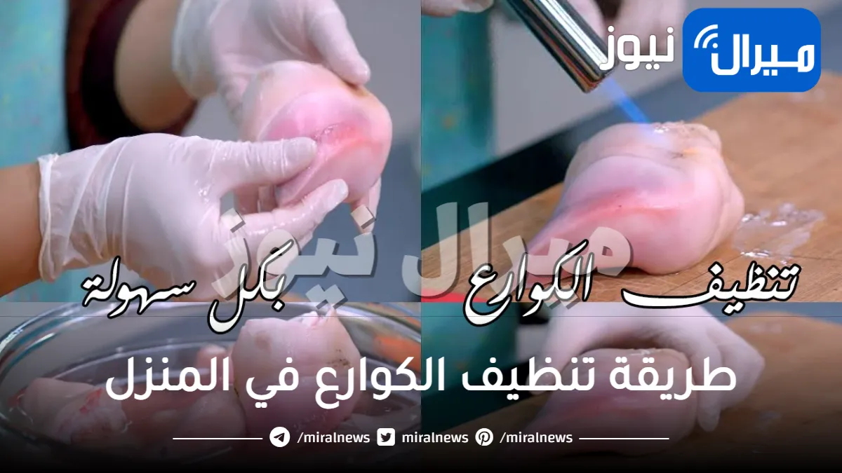 “بقت زي الفل” طريقة تنظيف الكوارع سر كوارع المسمط هتبقى ملبن