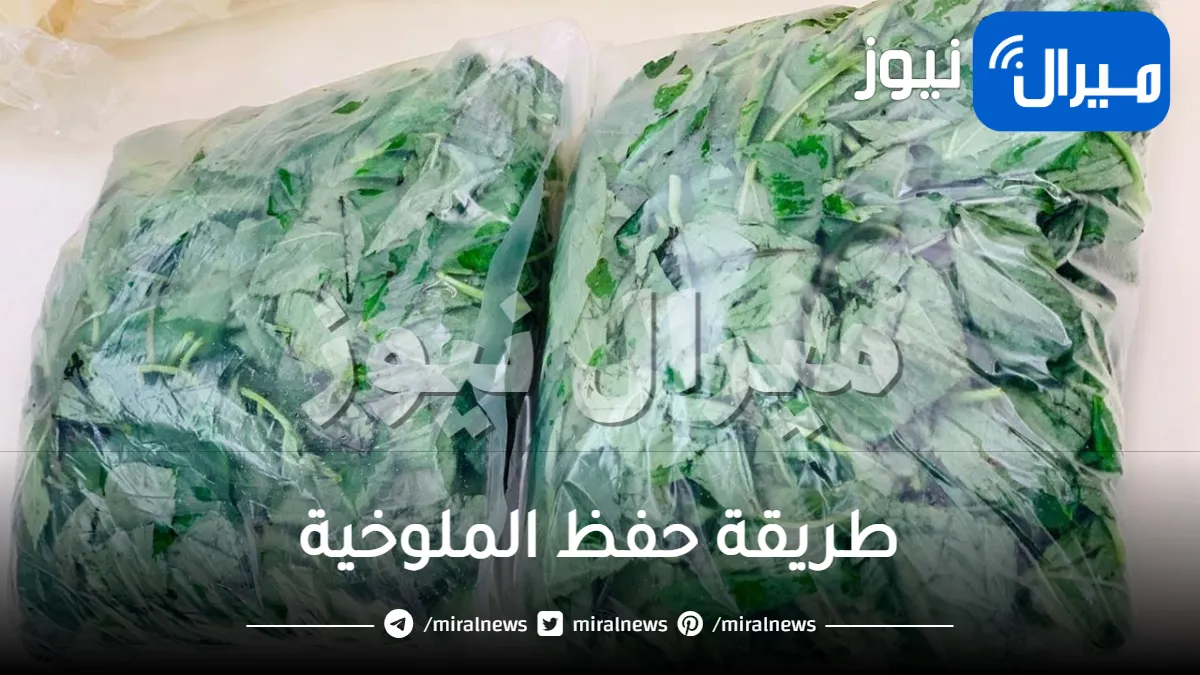 “أصول التفريز” طريقة تفريز الملوخية الخضراء
