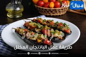 طريقة عمل الباذنجان المخلل بسهولة في البيت ألذ من المحلات