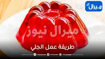 “بيتجمد بسرعه”طريقة عمل الجلي والطعم حكايه