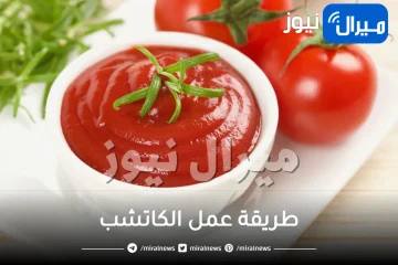 أسهل طريقة لعمل الكاتشب العادي في المنزل