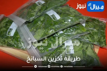 طريقه تخزين السبانخ