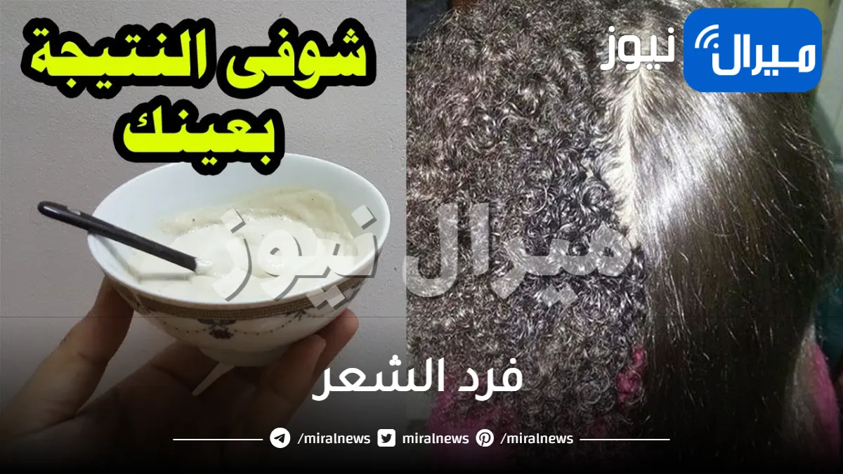 “الوصفة السحرية” طريقة فرد الشعر بالنشا للحصول على شعر ناعم مثل الحرير