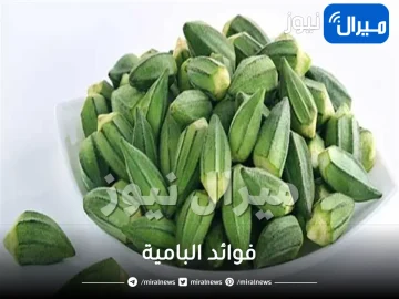 فوائد البامية