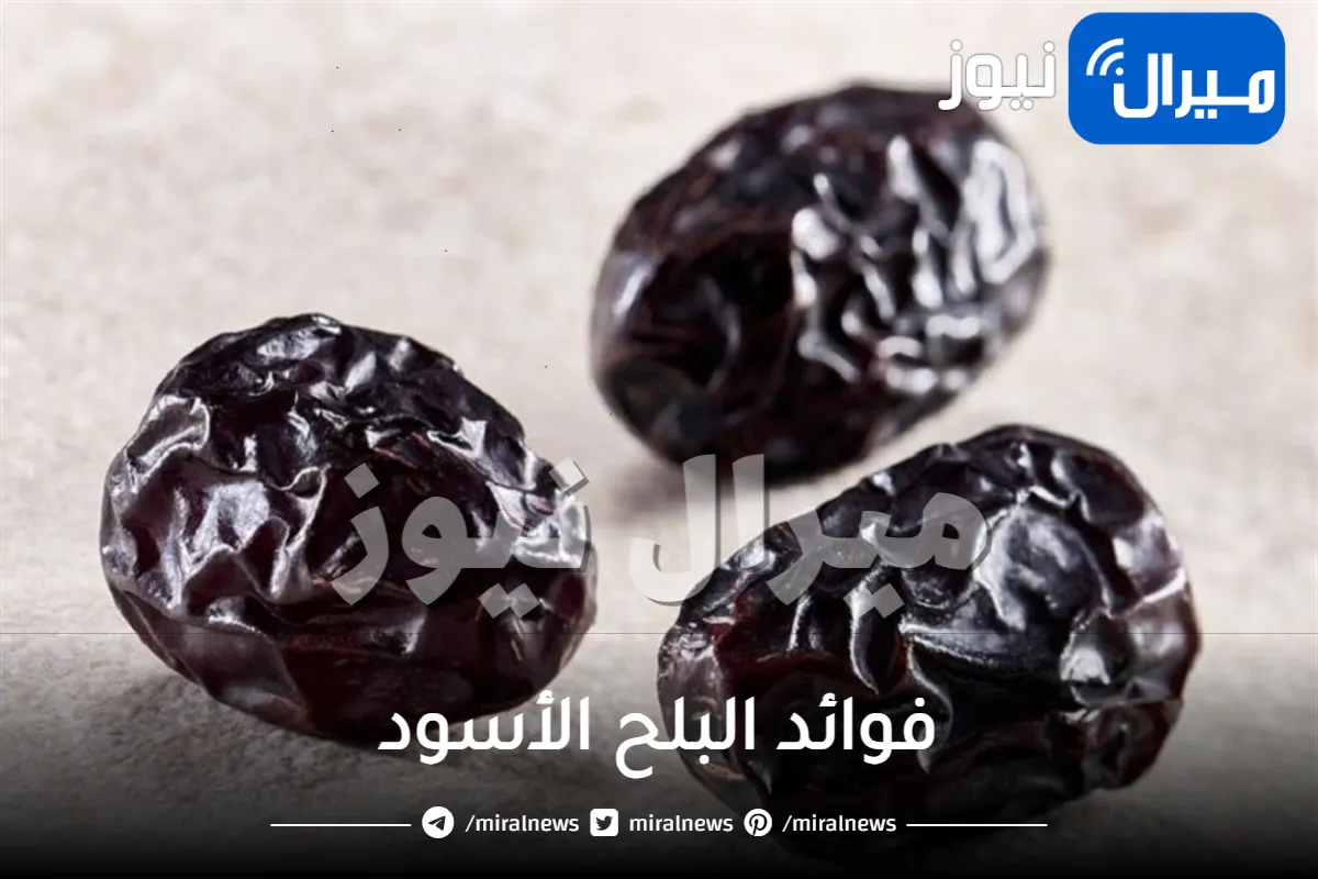 تعرف على فوائد البلح الأسود للجسم وللحامل