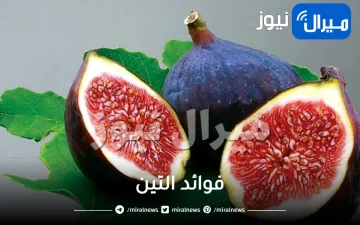 فوائد التين المذهلة للجسم والشعر والبشرة