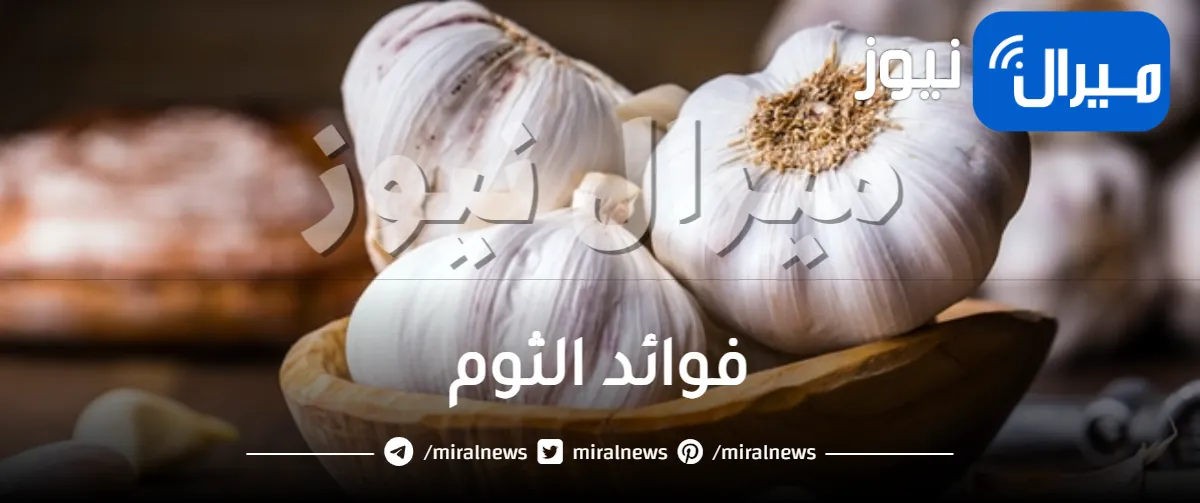 تعرف على فوائد الثوم المذهلة للجسم والبشرة والشعر