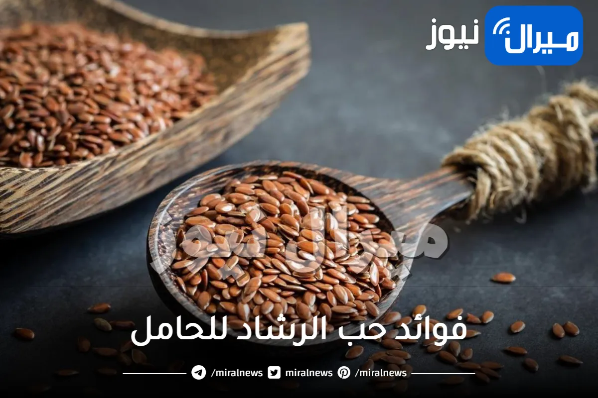 فوائد حب الرشاد للحامل