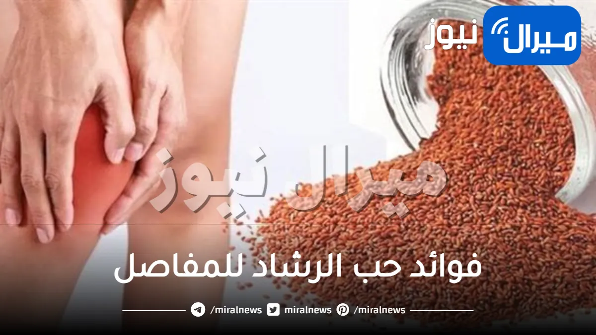 فوائد حب الرشاد للمفاصل
