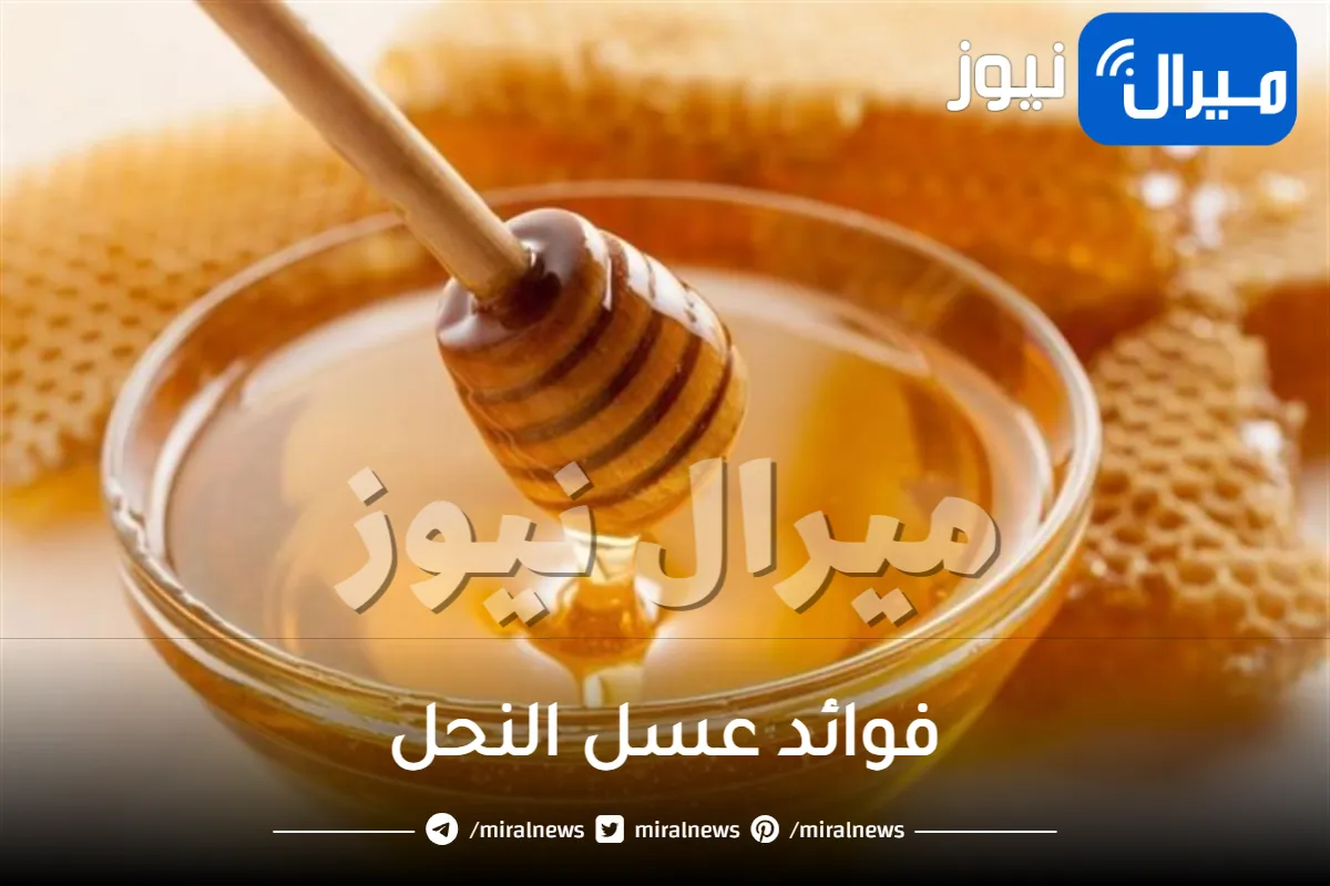 إليك فوائد عسل النحل للصحة والجمال