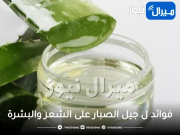 5 فوائد لـ جيل الصبار على الشعر والبشرة