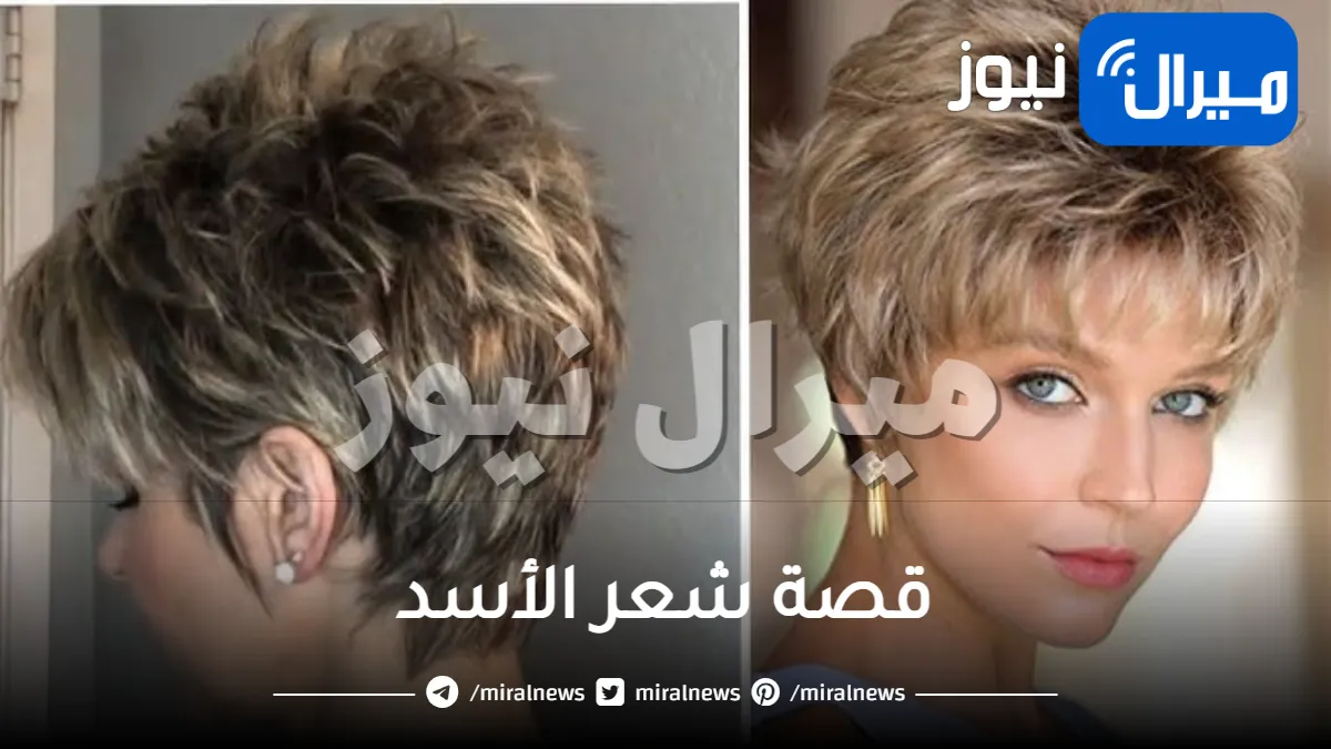 قصة شعر الأسد .. إطلالات جديدة وعصرية للشعر