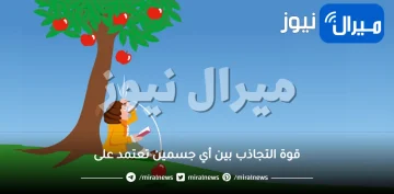 قوة التجاذب بين أي جسمين تعتمد على