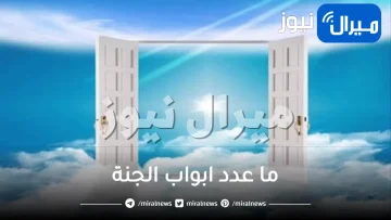 ما عدد ابواب الجنة