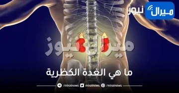 ما هي الغدة الكظرية وعلاجها ؟