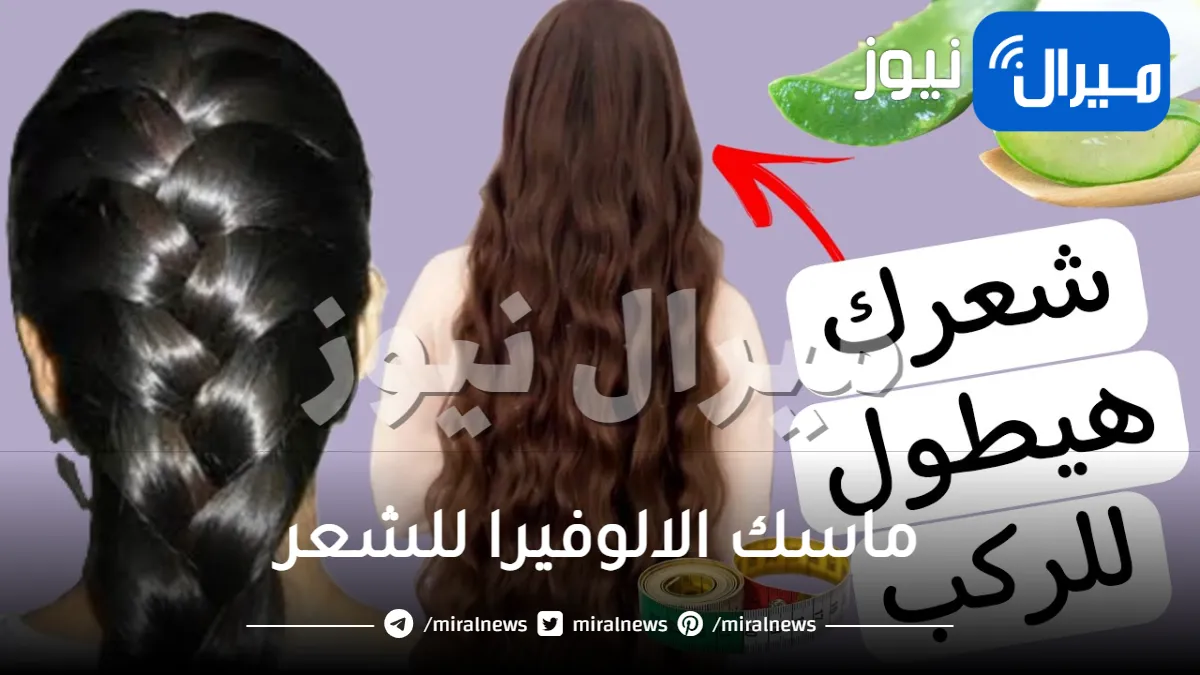 “جل الصبار ” ماسك الالوفيرا لتطويل وتكثيف وتنعيم الشعر