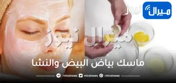 ماسك بياض البيض والنشا .. لكل أنواع البشرة الدهنية والجافة