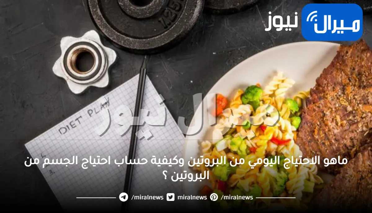 ماهو الاحتياج اليومي من البروتين وكيفية حساب احتياج الجسم من البروتين ؟